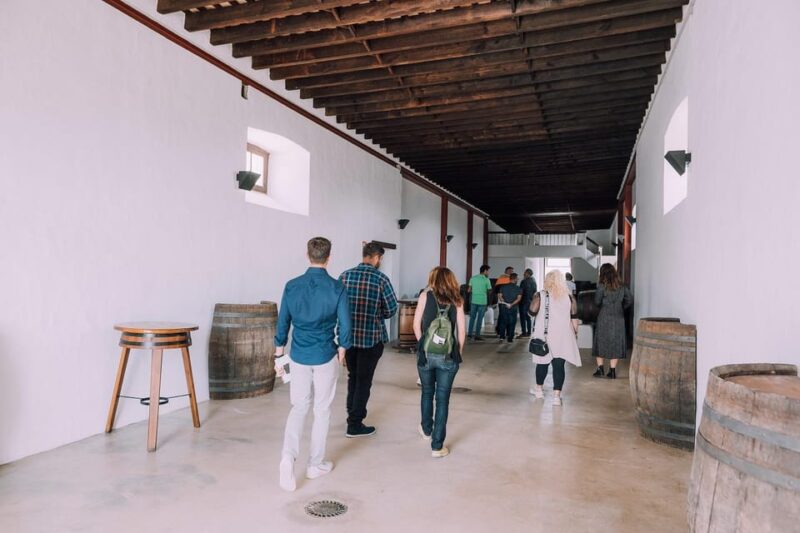 Lanzarote: Sunset Vineyard Tour With Wine and Chocolate Tasting - Discovering Finca Testeina and Bodegas Vega De Yuco