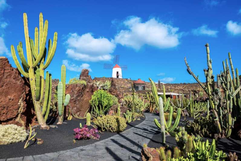 Lanzarote: The Cactus Garden Entry Ticket - Key Points