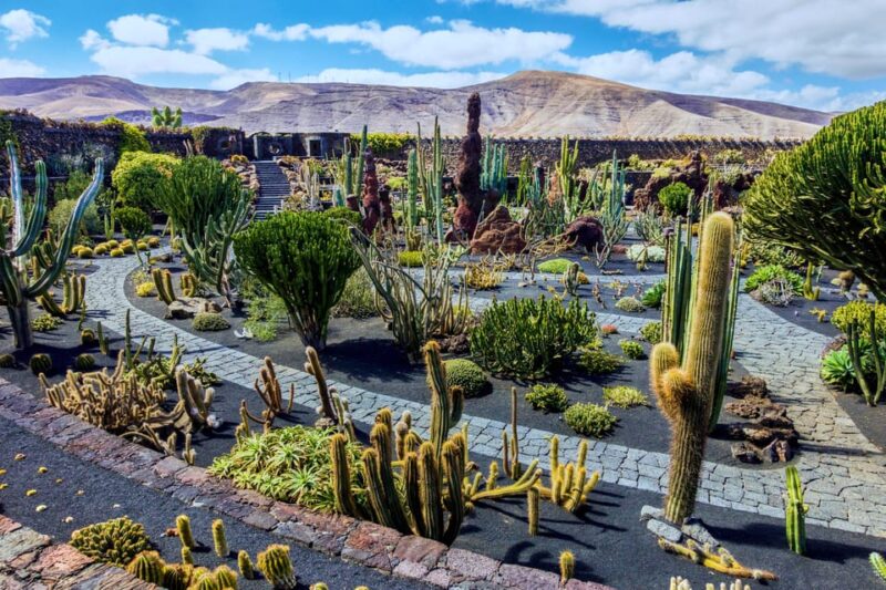 Lanzarote: The Cactus Garden Entry Ticket - Experience Highlights