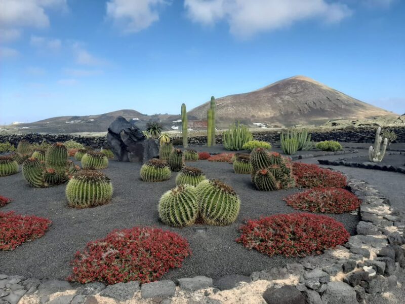 Lanzarote: The Cactus Garden Entry Ticket - Amenities and Services