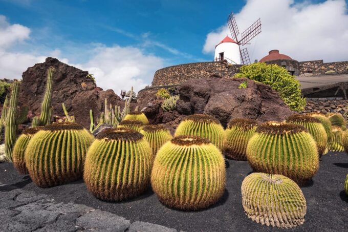Lanzarote: The Cactus Garden Entry Ticket - Exploring El Jardín De Cactus