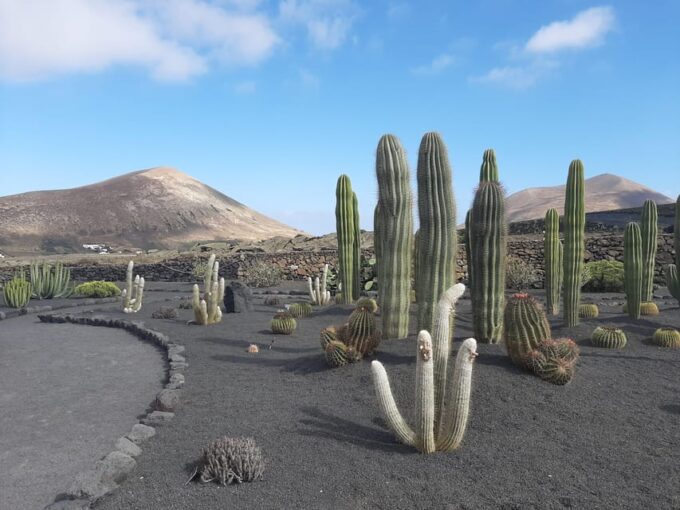Lanzarote: The Cactus Garden Entry Ticket - Diverse Cactus Collection