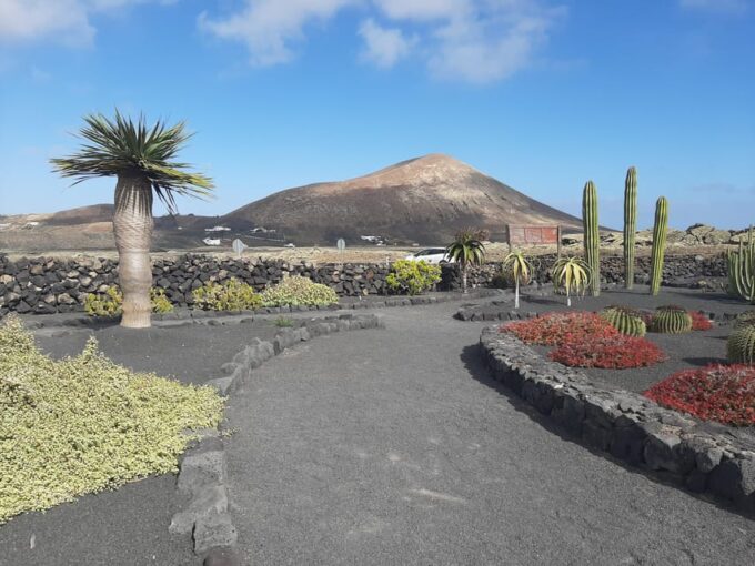 Lanzarote: The Cactus Garden Entry Ticket - Frequently Asked Questions