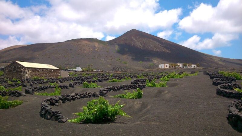 Lanzarote: The Geria Vineyards Hiking Tour - Key Points