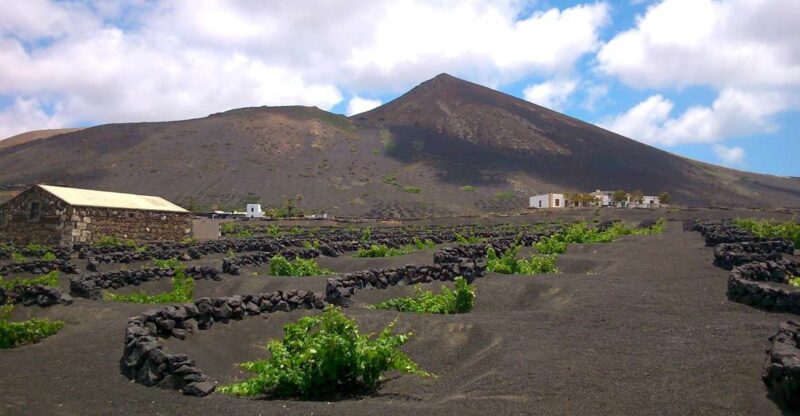 Lanzarote: The Geria Vineyards Hiking Tour - Customer Ratings and Reviews