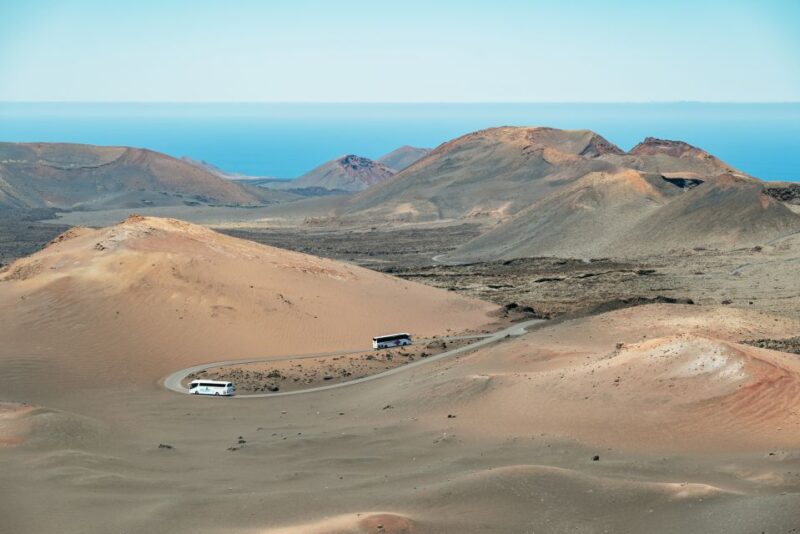 Lanzarote: Timanfaya National Park & La Geria Tour - Customer Reviews and Ratings