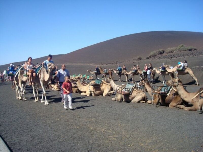 Lanzarote: Timanfaya National Park Tour - Geothermal Wonders