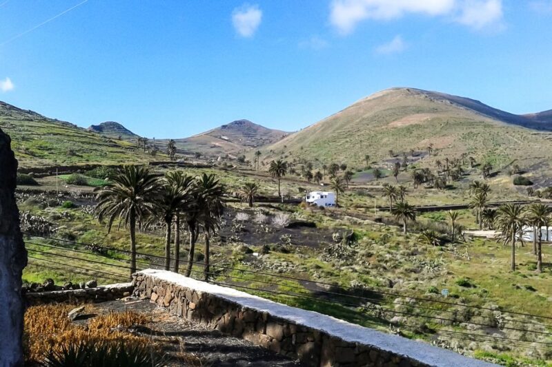 Lanzarote: Timanfaya Park and Jameos Del Agua Full-Day Tour - Highlights of the Tour