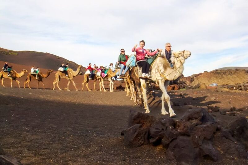 Lanzarote: Timanfaya Park and Jameos Del Agua Full-Day Tour - Pickup and Drop-off Locations