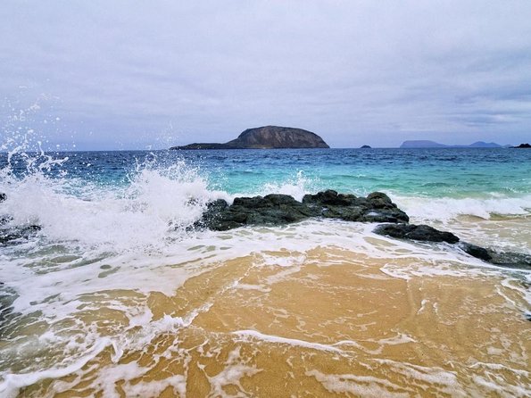 Lanzarote Tour: Lagomar Museum, Guatiza Cactus Garden & La Graciosa Island - Quick Points