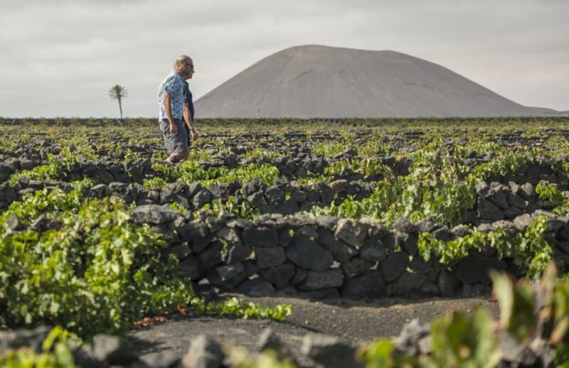 Lanzarote: Travel Through El Grifo Winery World - Frequently Asked Questions