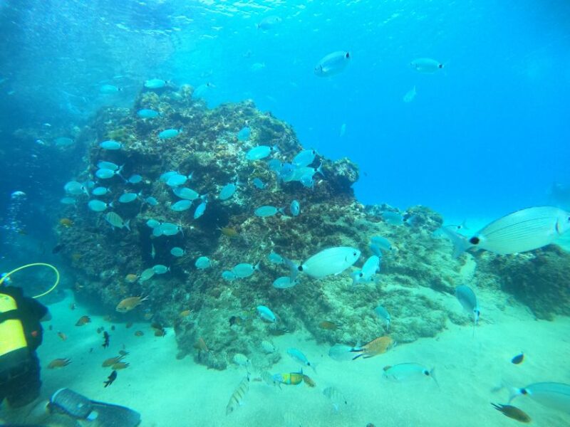 Lanzarote: Try Scuba Diving for Beginners - 2 Dives - Highlights