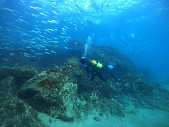Lanzarote: Try Scuba Diving for Beginners - 2 Dives - Multilingual Instructors