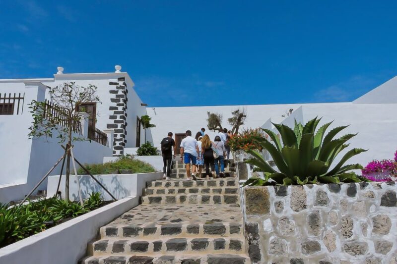 Lanzarote: Vineyard Tour With Wine and Chocolate Tasting - Activity Highlights