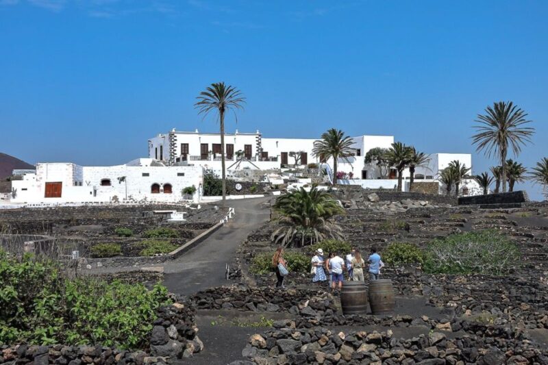 Lanzarote: Vineyard Tour With Wine and Chocolate Tasting - Location and Duration
