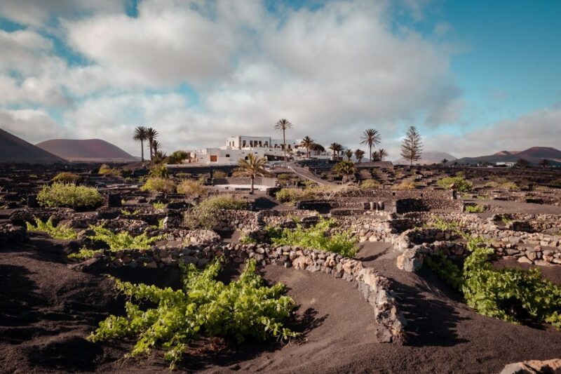 Lanzarote: Vineyard Tour With Wine and Chocolate Tasting - Pricing and Languages