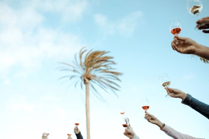 Lanzarote: Vineyard Tour With Wine and Chocolate Tasting - Itinerary Details