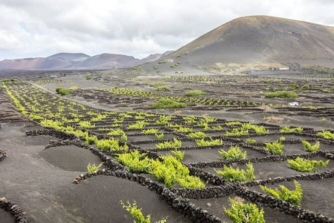 Lanzarote Volcanoes Tour Departing From Fuerteventura - Booking and Cancellation Policy