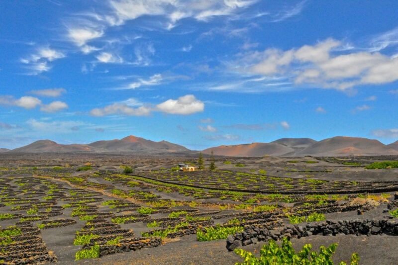 Lanzarote: Volcanos of Timanfaya and Caves Tour With Lunch - Cancellation Policy