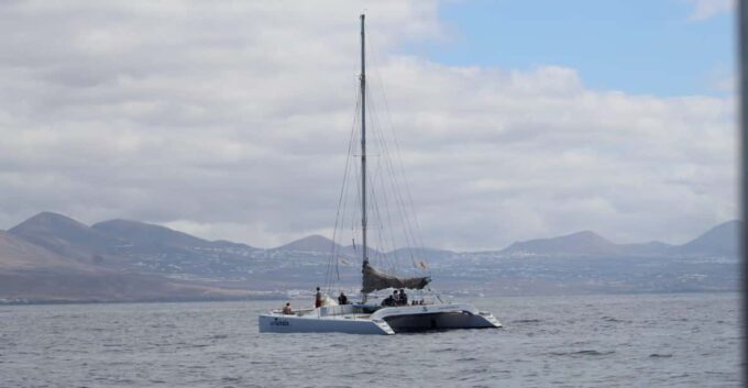 Lanzarote: Whale and Dolphin Watching Eco-Friendly Catamaran - Meeting Point