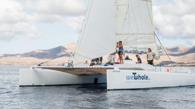 Lanzarote: Whale and Dolphin Watching Eco-Friendly Catamaran - Frequently Asked Questions