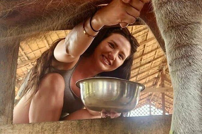 Laos Buffalo Dairy Tours Interact, Learn and Taste Fresh Flavors - Final Words