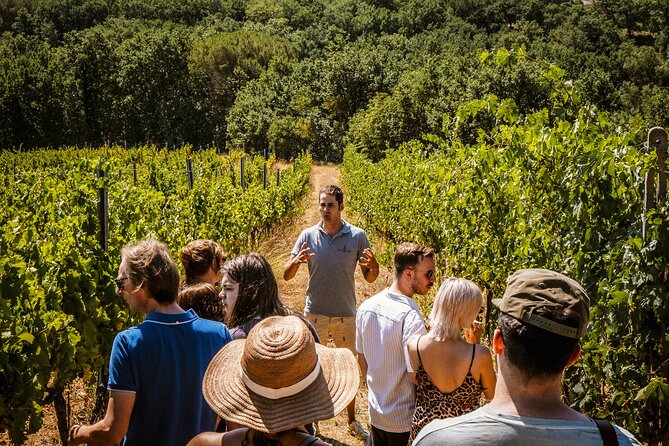 Lapi&Tour Guided Tour of the Cellars With Wine Tasting - Guest Experiences