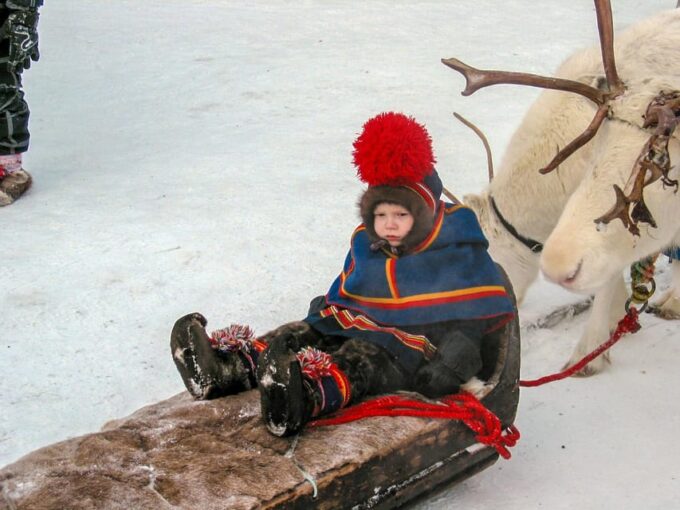 Lapland: a Day on the Trail of the Sami Indigenous People - Wildlife Viewing