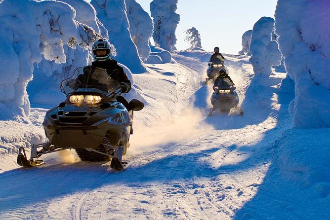 Lapland Family Snowmobile Safari From Rovaniemi - Participant Requirements