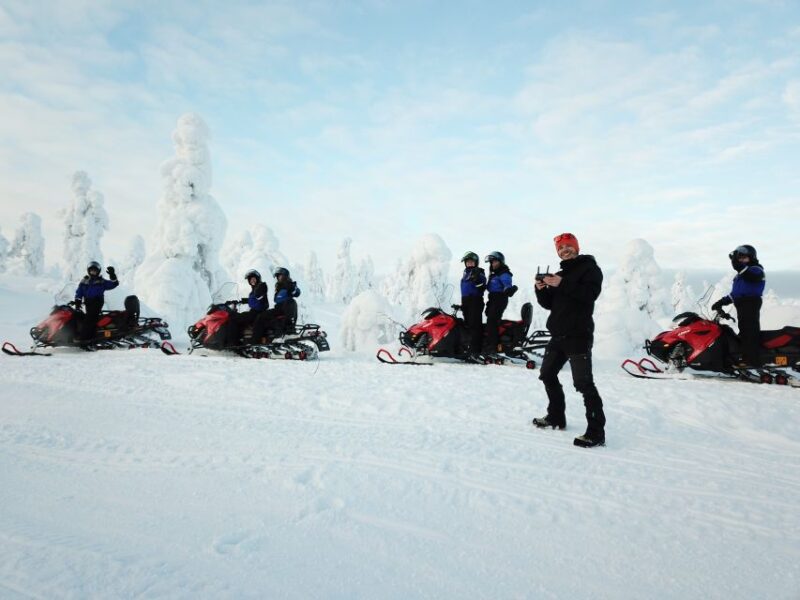 Lapland: Full-Day Snowmobile Safari Into the Wilderness - Activity Overview