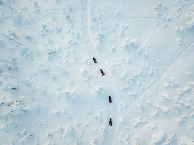 Lapland: Full-Day Snowmobile Safari Into the Wilderness - Tour Inclusions