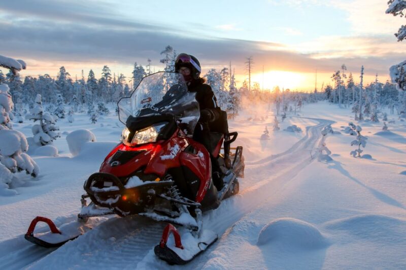 Lapland: Full-Day Snowmobile Safari Into the Wilderness - Not Recommended For