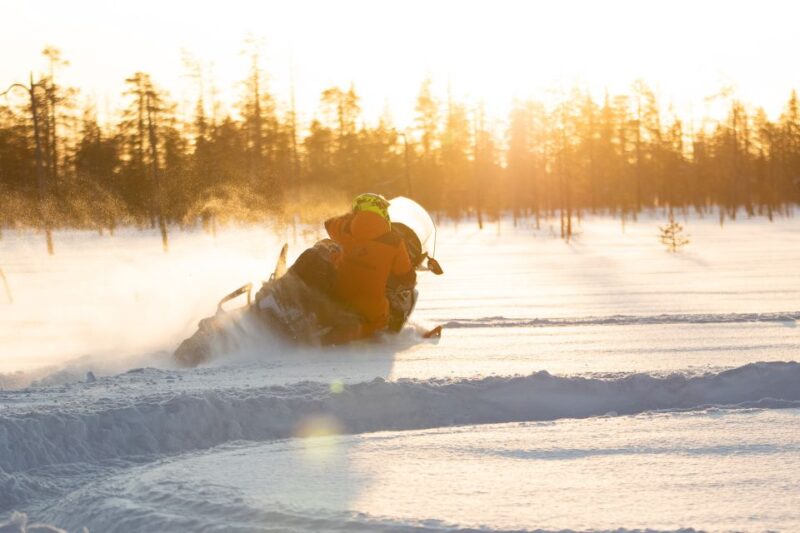 Lapland: Full-Day Snowmobile Safari Into the Wilderness - Frequently Asked Questions