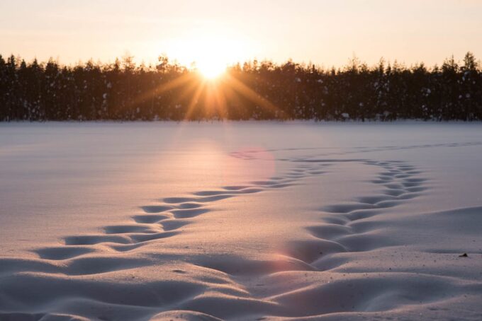 Lapland Full Day Tour With Lunch & Dinner - Customer Reviews