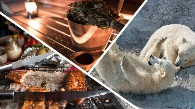 Lapland Full Day Tour With Lunch & Dinner - Frequently Asked Questions