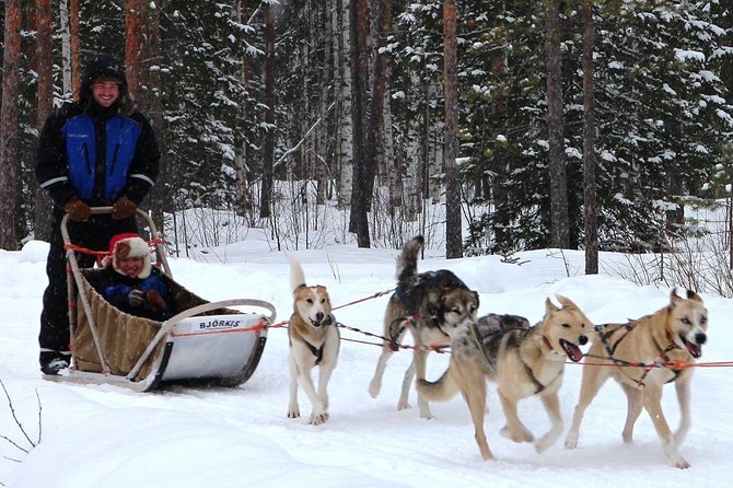 Lapland Husky Safari From Saariselkä - Experience Highlights