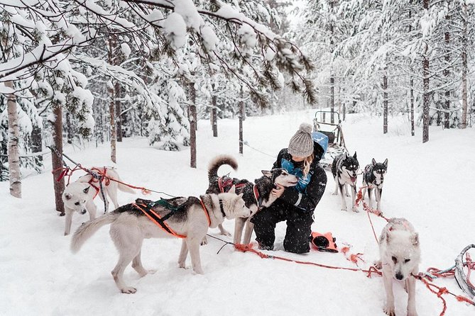 Lapland Husky Safari From Saariselkä - Tour Duration and Distance