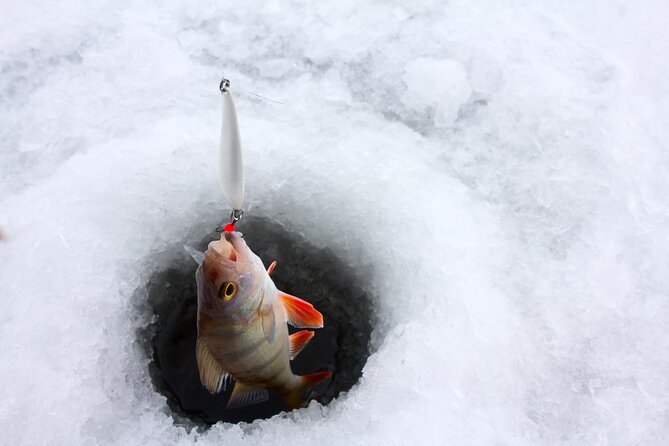 Lapland Ice Fishing Experience From Rovaniemi - Pickup Options