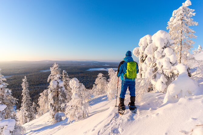 Lapland Ice Fishing Experience From Rovaniemi - Campfire Lunch