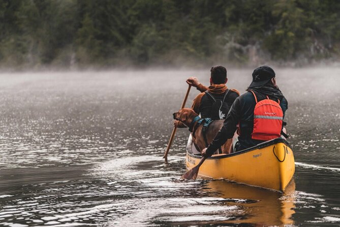 Lapland Kayak Adventure in Rovaniemi - Traveler Reviews