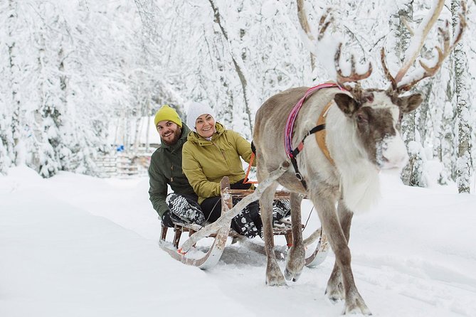Lapland Reindeer and Husky Safari From Rovaniemi - Souvenir Reindeer Drivers License