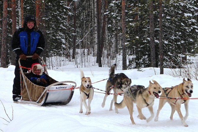 Lapland Reindeer and Husky Safari From Rovaniemi - Cancellation and Meeting Information