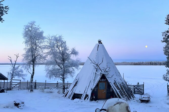 Lapland Reindeer Safari From Levi - Ratings and Customer Feedback