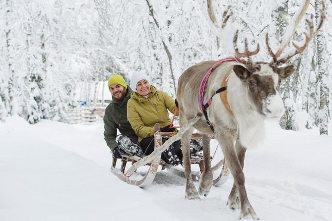 Lapland Reindeer Safari From Levi - Positive Customer Experiences