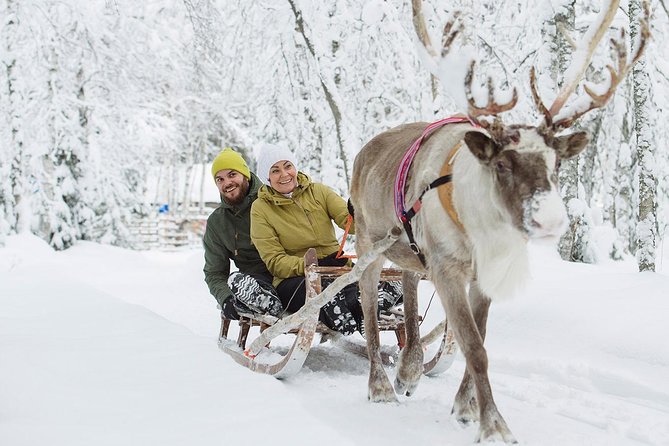 Lapland Reindeer Safari From Rovaniemi - Reindeer Farm and Herders