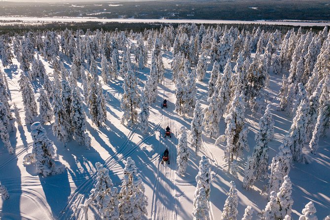 Lapland Snowmobile Safari From Rovaniemi - Quick Points
