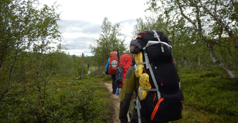 Lapland: Three Day Trekking in the Swedish Highlands - Good To Know