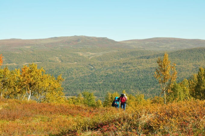 Lapland: Three Day Trekking in the Swedish Highlands - Frequently Asked Questions