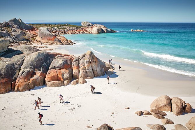 Larapuna / Bay of Fires Hiking Tour - 4 Days - Inclusions