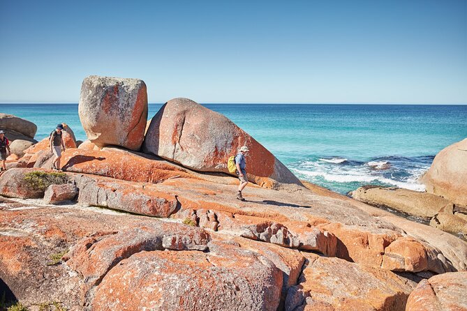 Larapuna / Bay of Fires Hiking Tour - 4 Days - Meeting and Pickup
